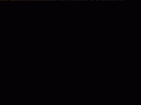 IMG_0540.gif